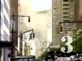 Flux Rostrum - The Divide