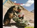 aşkın gözyaşı komik deli doktoru aşk sevgi kuş saka ilvanlım şiir seviyorum seni çok