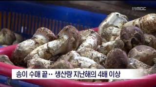 뉴스데스크