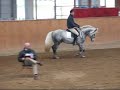 der vierj�hrige connemara-hengst ac-samson af engvang beim abschlu�test des hengstleistungspr�fung f�r reitponys 2008 in prussendorf
