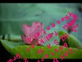 yusufeli-firtinasi-2