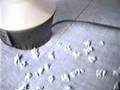 Popcorn 1988