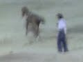 Este 4to. Participante de la Competencia de Montada de Caballo en el Rodeo en la Feria Ganadera (Santo Domingo, Republica Dominicana) no pudo durar mucho encima del caballo, se tuvo que desmontar porque el caballo lo estaba mordiendo.