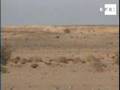 Grupo Voluntad y Autodeterminación organiza protesta en el Sahara