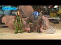 Ben 10 toys: ultimate swampfire action figure review unboxing
