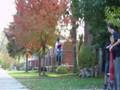 videos de steves set pogo