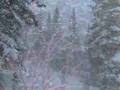 Aspen Winter Wonderland - YouTube