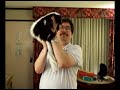 Meet Basil the pet Skunk