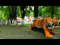 Видеоновость Черкассы | Красивые города Украины | Timelapse | Видео | онлайн