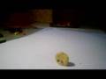 Loco Roco Klaymation