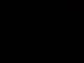 videos de MOV00028[1]