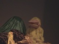 chickensong