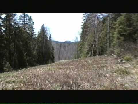 Image de prévisualisation YouTube