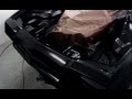 videos de Unique manta prepared for airbrushing !!!