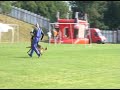 Schutzdienst Schäferhund Schutzdienst Schäferhund