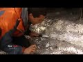Bear Grylls Delicacy Part 1 Bear Grylls Delicacy Part 1