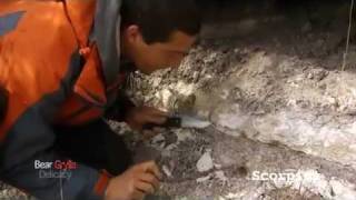 วิธีการเอาตัวรอดในป่า By Bear Grylls 