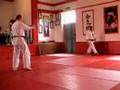 Randori No Kata