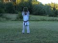 Michal Trapek - Allkampf-jitsu Č.Budějovice - Tameshi-wari (přerážení) - Mae-tobi-geri