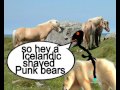 Lucky Jack and the polar bear travel to Iceland