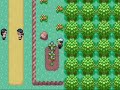 adam's team deals with the final trainer outside meteor falls and heads towards mt.chimney where he begins the fight against team magma

adam's current team
sceptile lv.44
linoone lv.43
lombre lv.42
pelliper lv.42
wingull lv.19