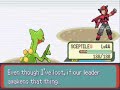 adam's team deals with the final trainer outside meteor falls and heads towards mt.chimney where he begins the fight against team magma

adam's current team
sceptile lv.44
linoone lv.43
lombre lv.42
pelliper lv.42
wingull lv.19