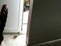 Visit from next door 2
