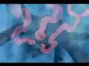 devincarraway1& Adrale4gotten A.K.A the badest in the land - naruto and bleach AMV Attack devincarraway1& Adrale4gotten A.K.A the badest in the land - naruto and bleach AMV Attack