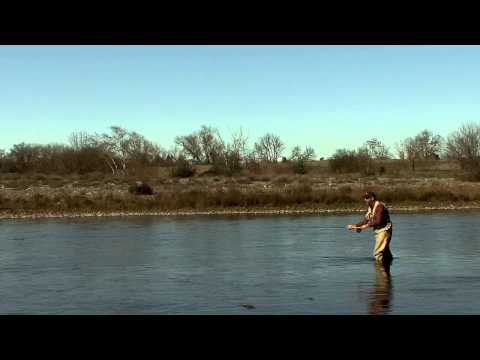 how to snap t spey cast