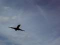 Plane Flying into DCA