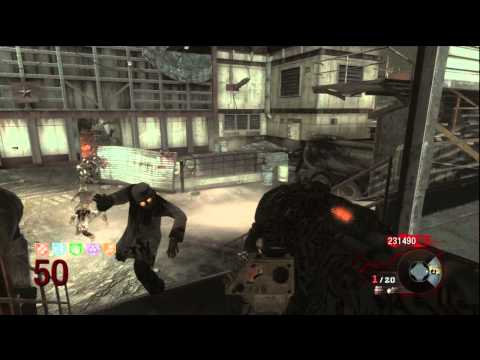 CoD: Black Ops - The Zombie Slayer on Lvl.50 of Ascension