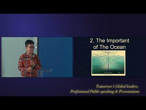The Ocean - Harry [TTS Presentation 2024]