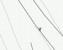 Line Rider - Hight Mountain