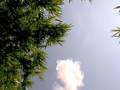 Rocket Day