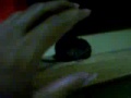 Caught Rat throw out! Caught Rat throw out!