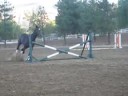 Feinesse Free Jumping