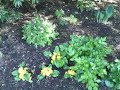 May 17 2008 - VID00023
