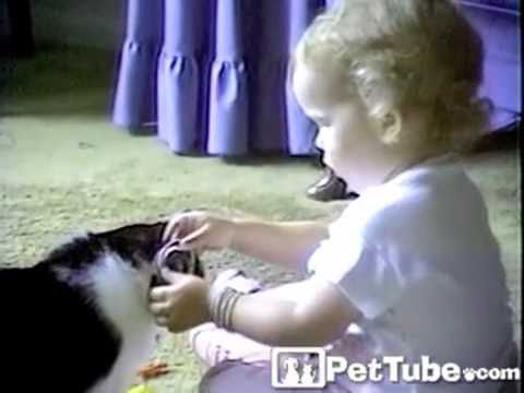 Видео 'Модница и кошка :)'