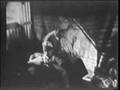 The Forgotten Refugees - 1,000,000 Jews Expelled (Part 1)