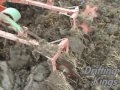 Valtra and Kverneland Cultivator