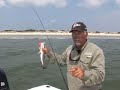 Speckled Seatrout on the Beach