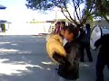 potros marching band