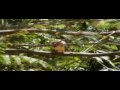 Zaruma: Natural Patrimony