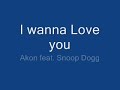 akon    i wanna love you