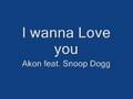 Akon -- I wanna Love you