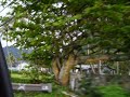 Oahu\ Oahu\