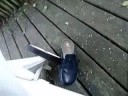 der unfall teil 2 der unfall teil 2