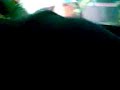 armando en sexshop de chalco parte 2 (la curiosidad)