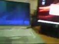 Mac OS 10.4 vs Ubuntu 7.04 vs Windows Vista Boot up compare