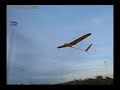 Yellow Bee Flyby Montage II Yellow Bee Flyby Montage II